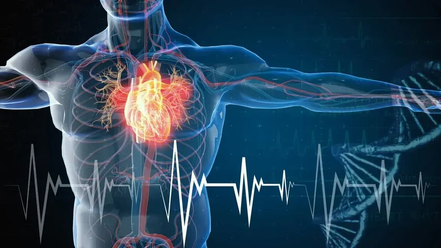 Cómo manejar los factores de riesgo cardiovascular modificables