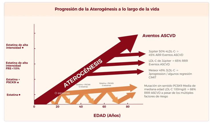 DIL-14D Ajustado Lipoproteínas, Disglucemia y Aterosclerosis Subclínica- Asociación Metabólica 3 - Cardiología