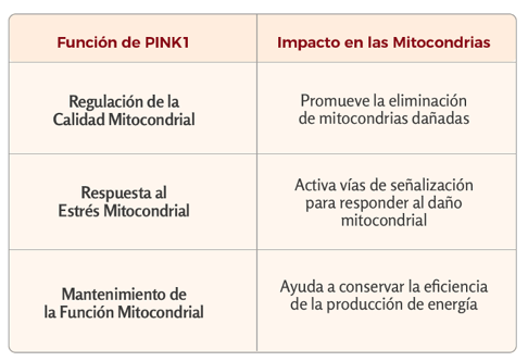 Funciones Clave de PINK1 