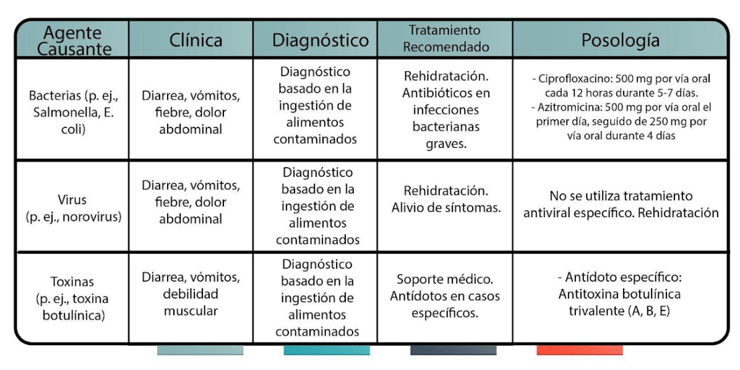 Gastroenteritis Alimentaria