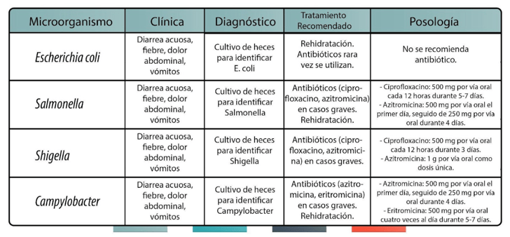 Gastroenteritis Bacteriana