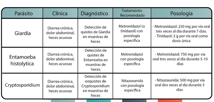 Gastroenteritis Parasitaria