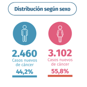 Distribución de Sexo