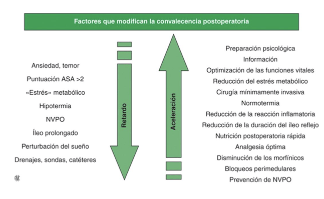 Dolor1