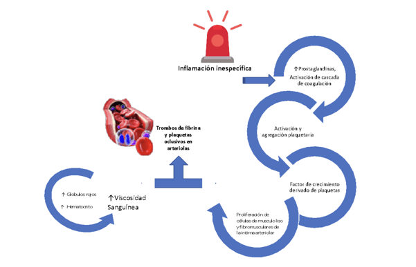 Gráfica 2. Fisiopatología de la trombosis en trombocitemia esencial