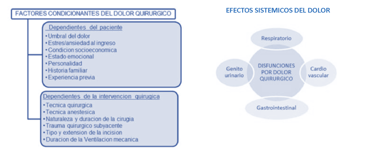 Control adecuado del dolor en rehabilitación posquirúrgica