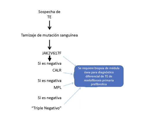 Trombocitemia2