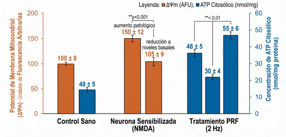 impacto_neuromodulacion