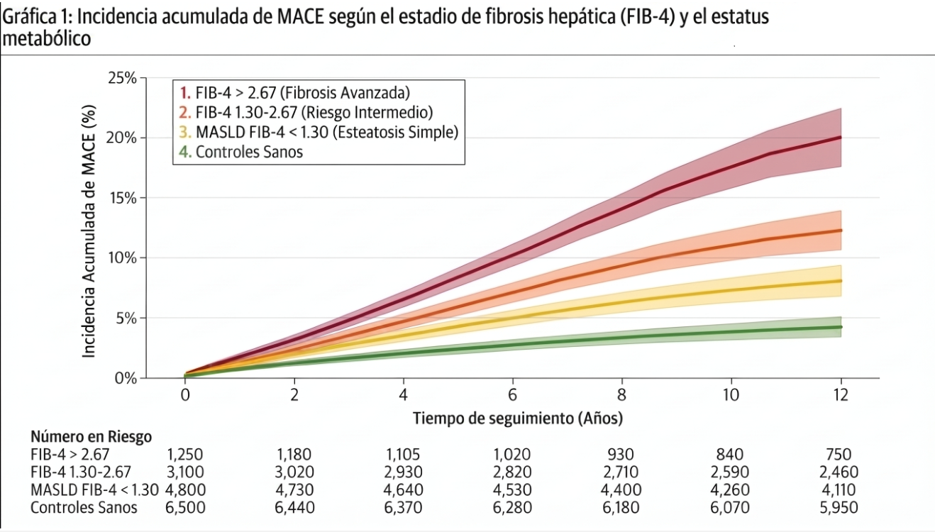 incidencia-acumulada-MACE