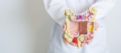 Microbioma intestinal: clave en la respuesta a inmunoterapia oncológica