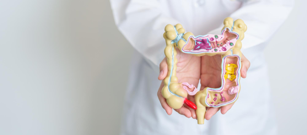 Microbioma intestinal: clave en la respuesta a inmunoterapia oncológica