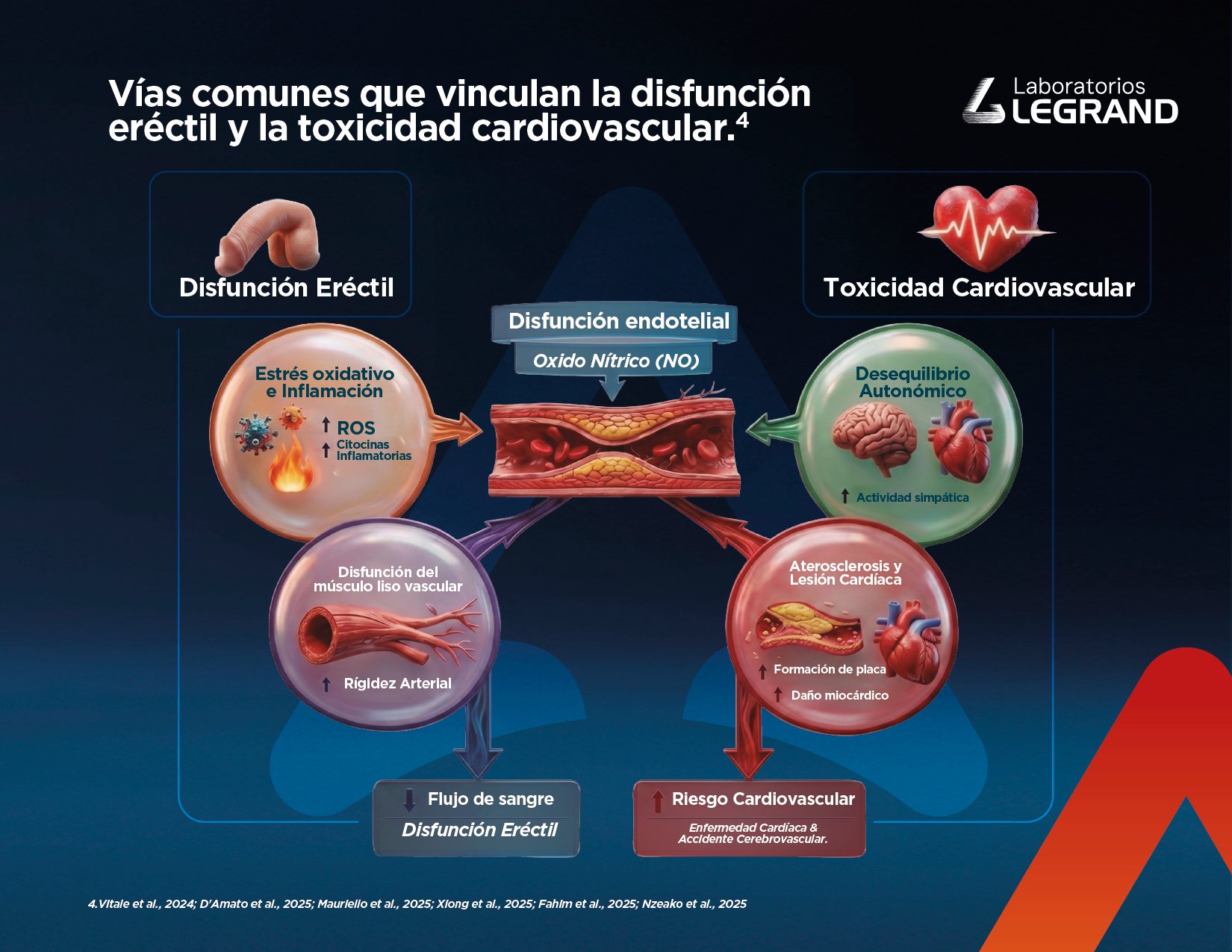 Infografía DE V2