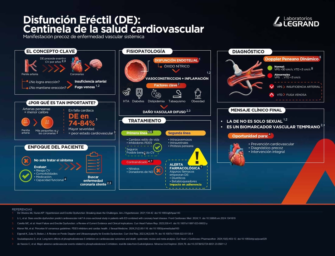 Infografia_DE_referencias_final (1)_page-0001