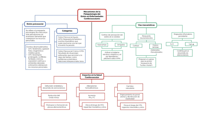 Mecanismos de la fisiopatología del estrés