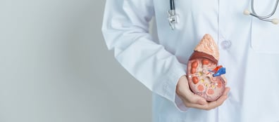 Farmacodinamia/ farmacocinética de los alfa bloqueadores y su importancia clínica