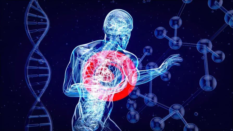 Manejo del dolor: avances clínicos para la práctica médica