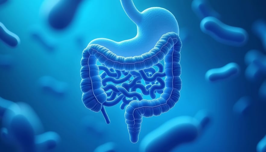 Reparación estructural de la barrera intestinal: bases clínicas y terapéuticas