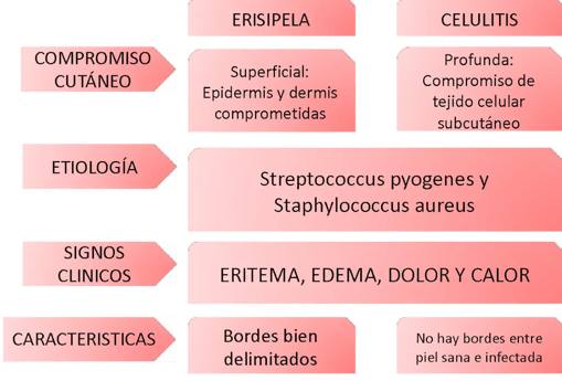 Comparativo clínico y etiológico de erisipela y celulitis