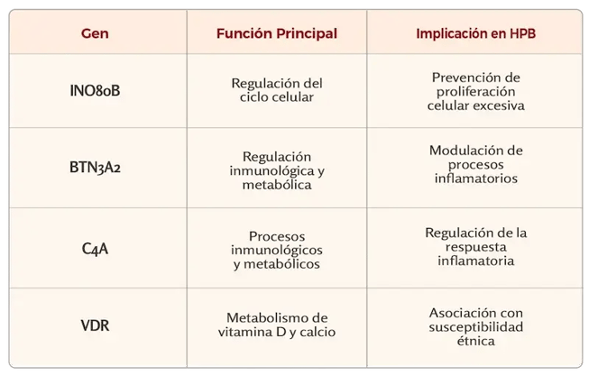 fisiopatología