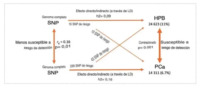 hiperplasia