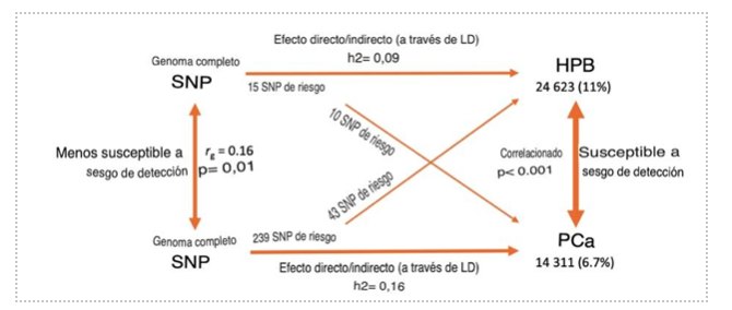 hiperplasia