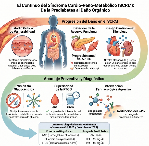sindrome cardio reno metabolico