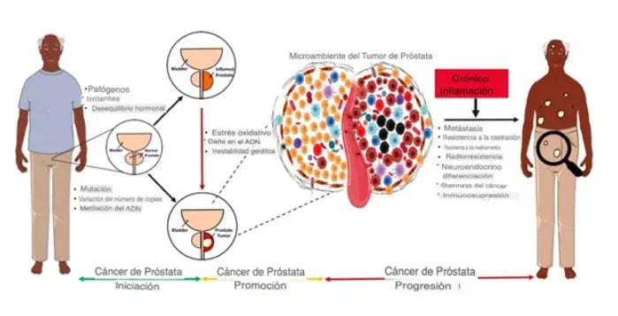 inflamación crónica